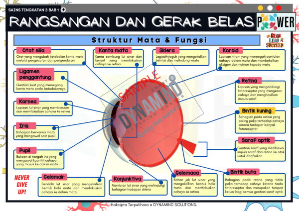 E-NOTA POWER SAINS TINGKATAN 3 102m/s - Image 2