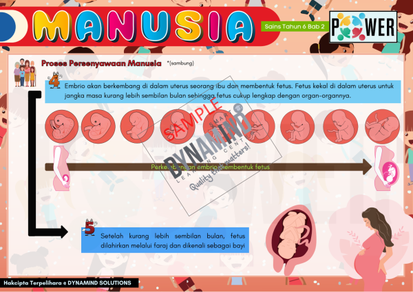 E-NOTA POWER SAINS TAHUN 6 KSSR SEMAKAN 70m/s - Image 3