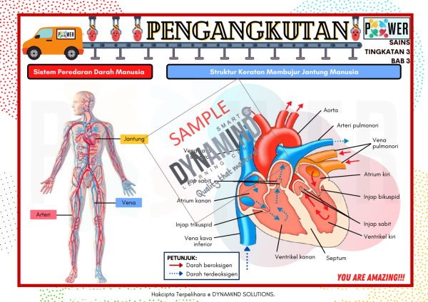 E-NOTA POWER SAINS TINGKATAN 3 102m/s - Image 4
