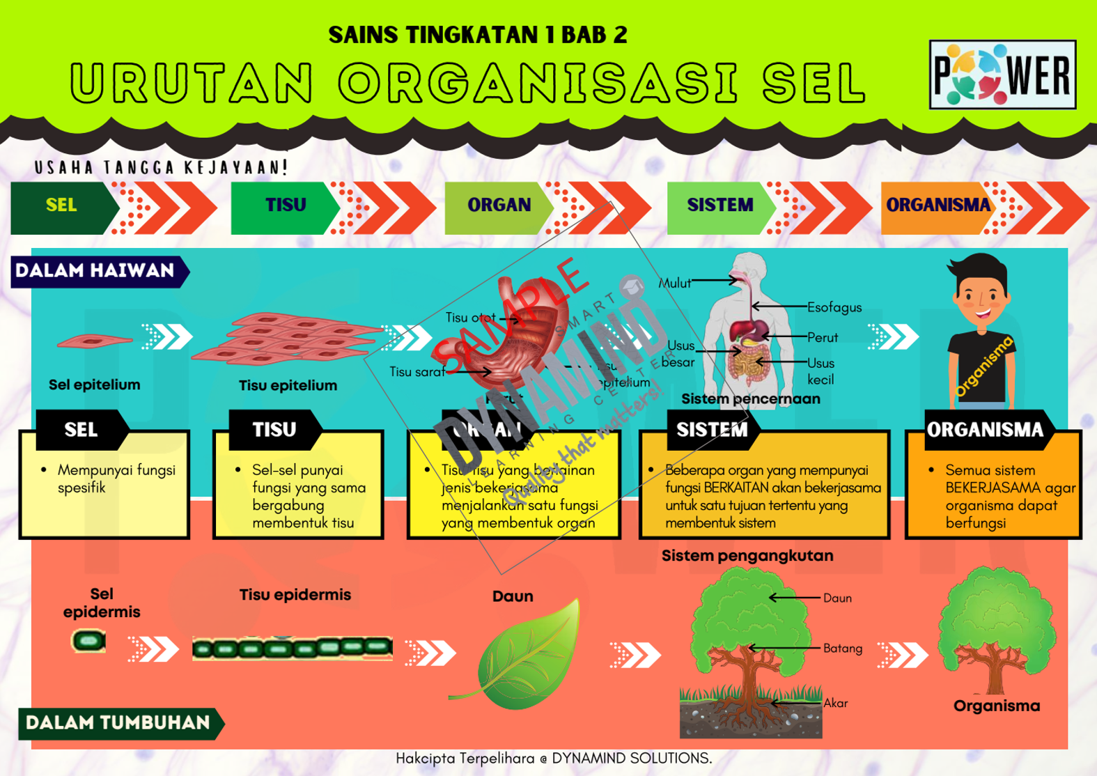 E-NOTA POWER SAINS TINGKATAN 1 103m/s - Image 3