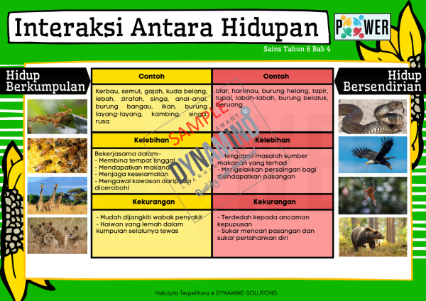 E-NOTA POWER SAINS TAHUN 6 KSSR SEMAKAN 70m/s - Image 4