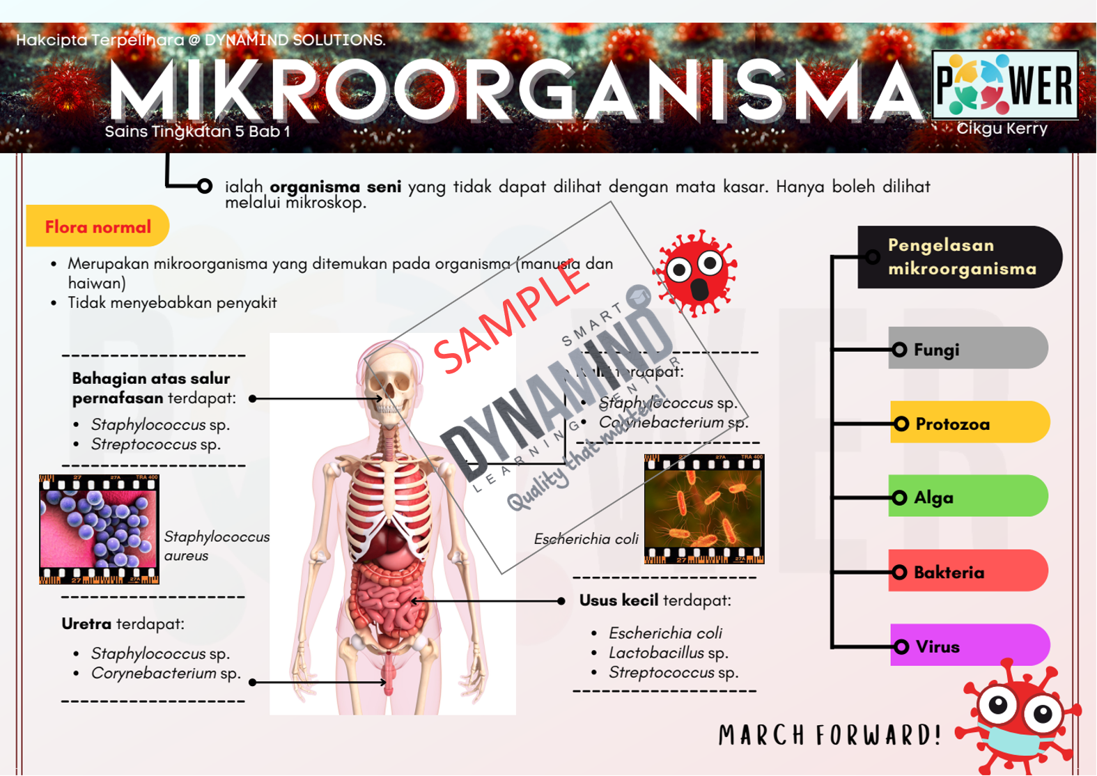 1. Sampel Bab 1 Mikroorganisma