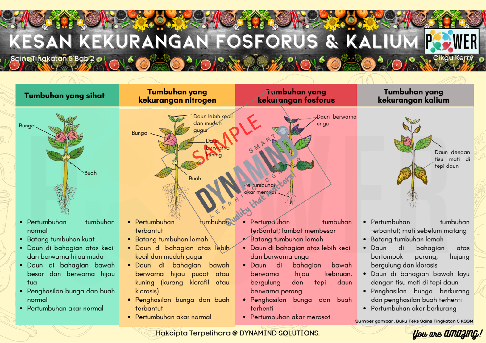 2.2 Sampel 2 Bab 2 Nutrisi Dan Teknologi Makanan