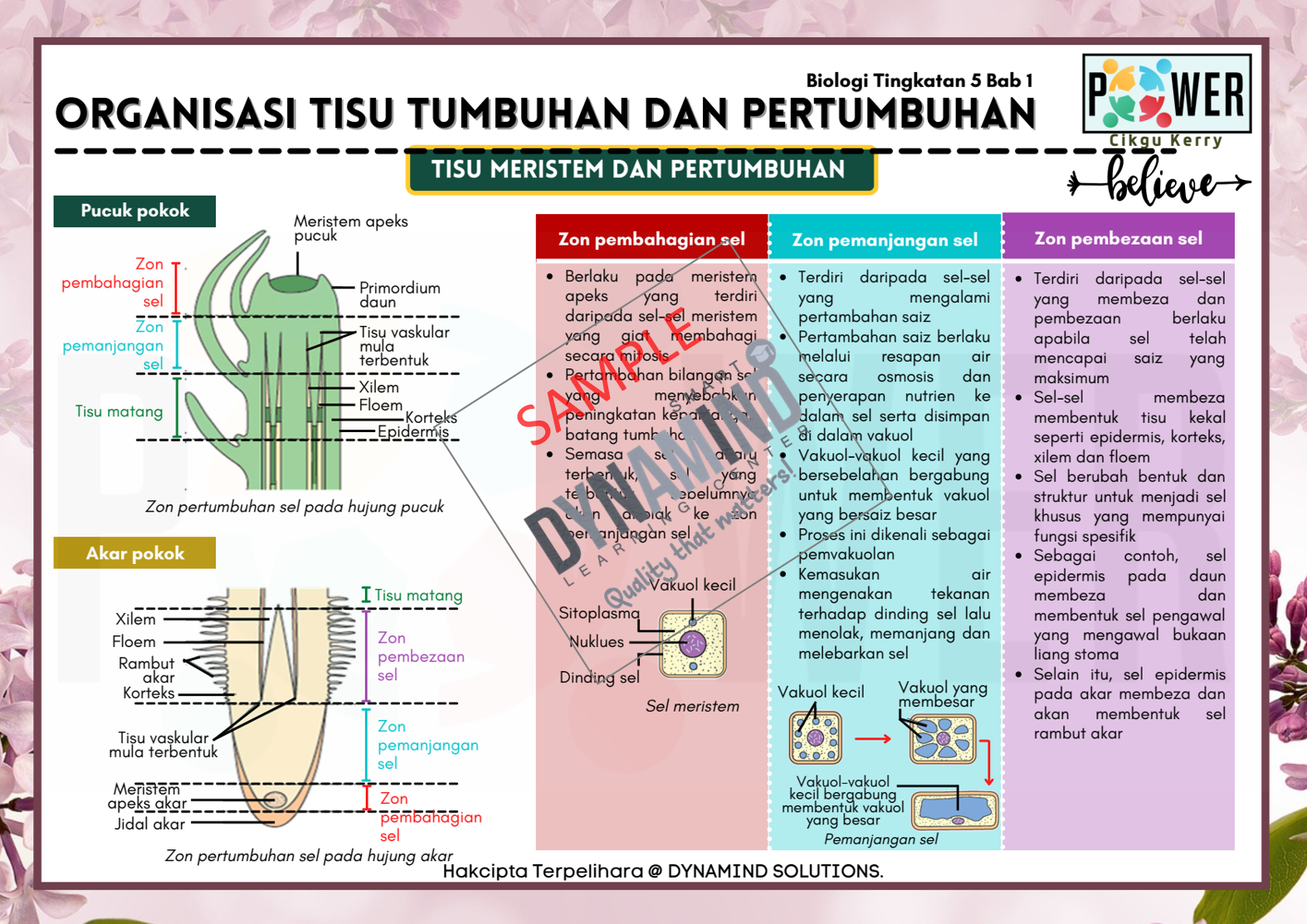 Sampel 1 organisasi tumbuhan dan pertumbuhan Enota Biology Tingkatan 5