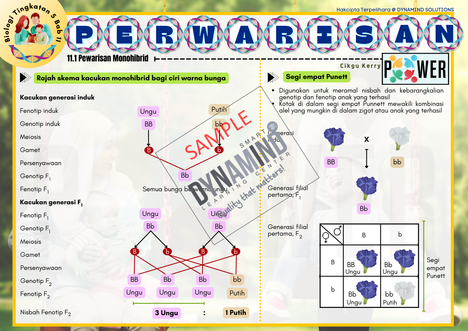 Sampel 13 Pewarisan Enota Biology Tingkatan 5