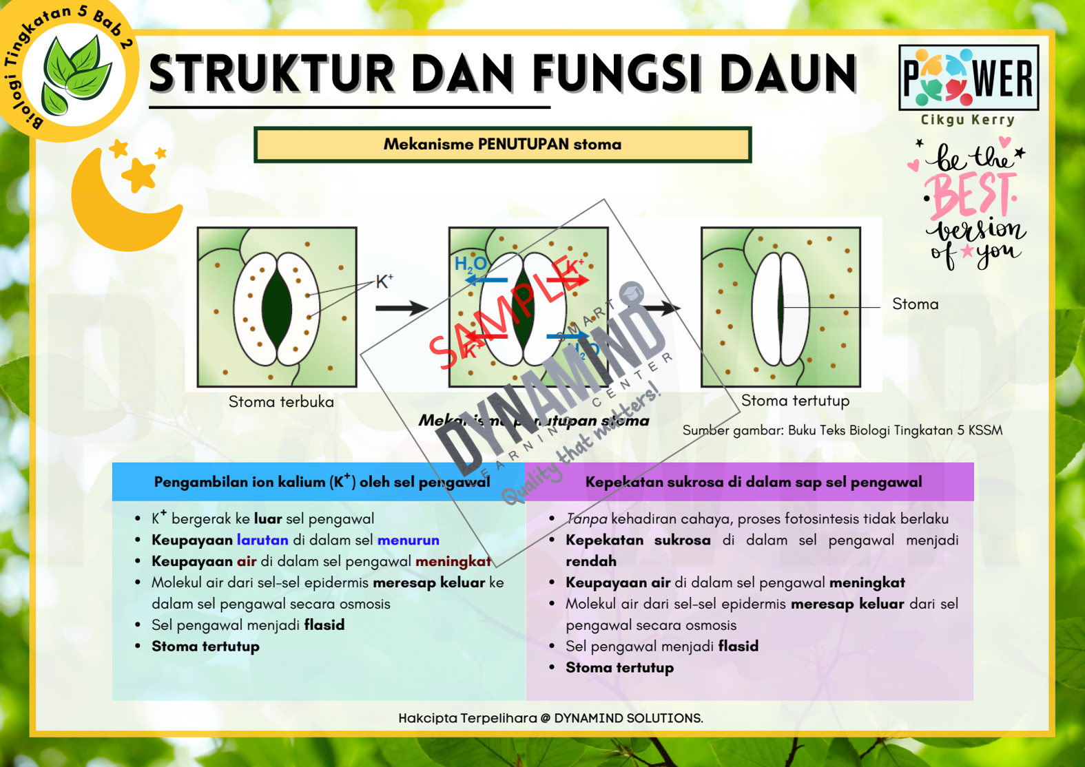 Sampel 2 Struktur & Fungsi Daun Enota Biology Tingkatan 5