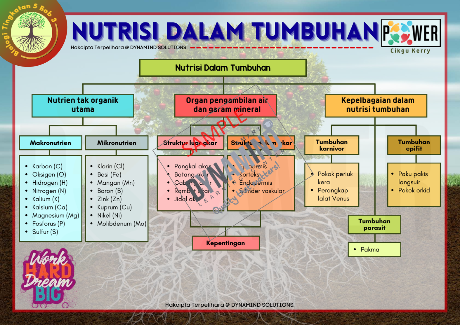 Sampel 4 Nutrisi Dalam Tumbuhan Enota Biology Tingkatan 5