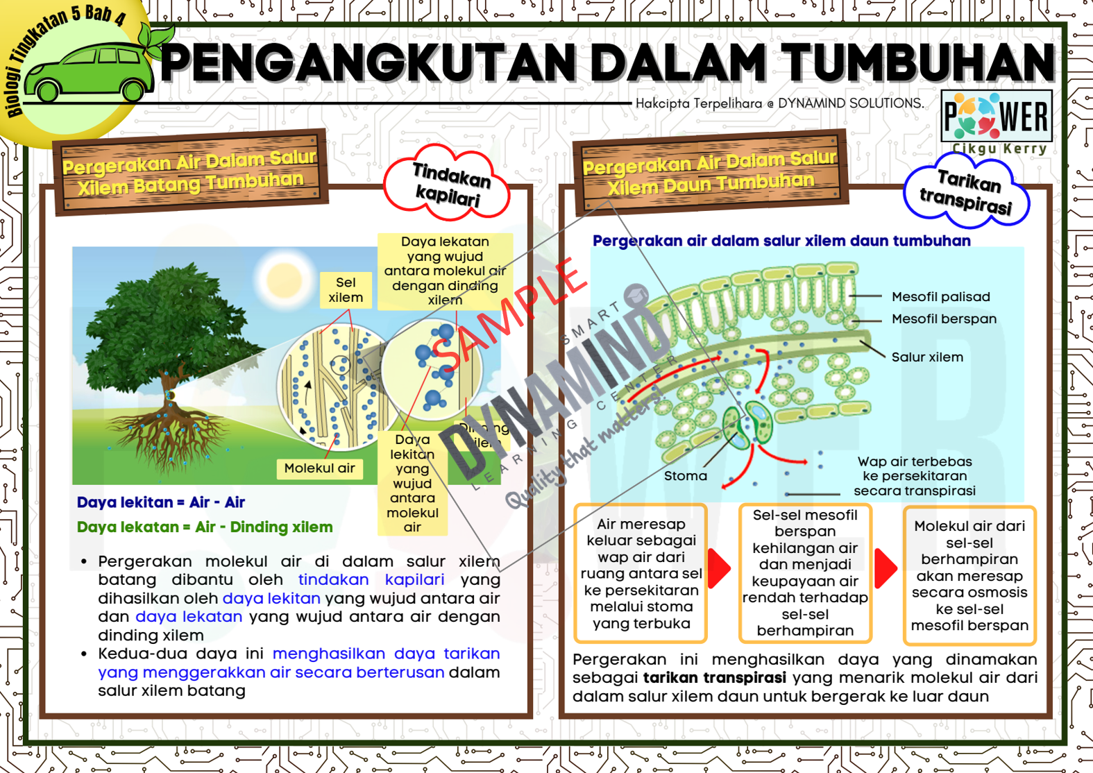 Sampel 5 Pengangkutan Dalam Tumbuhan Enota Biology Tingkatan 5
