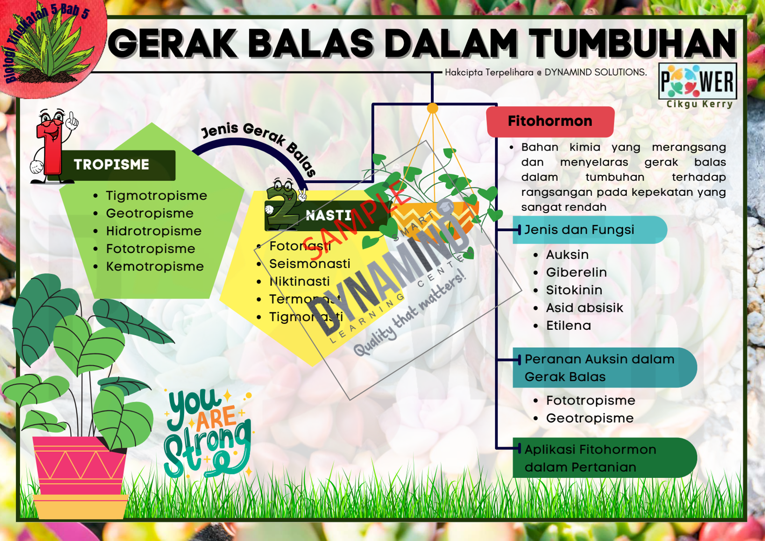 Sampel 6 Gerak Balas Dalam Tumbuhan Enota Biology Tingkatan 5