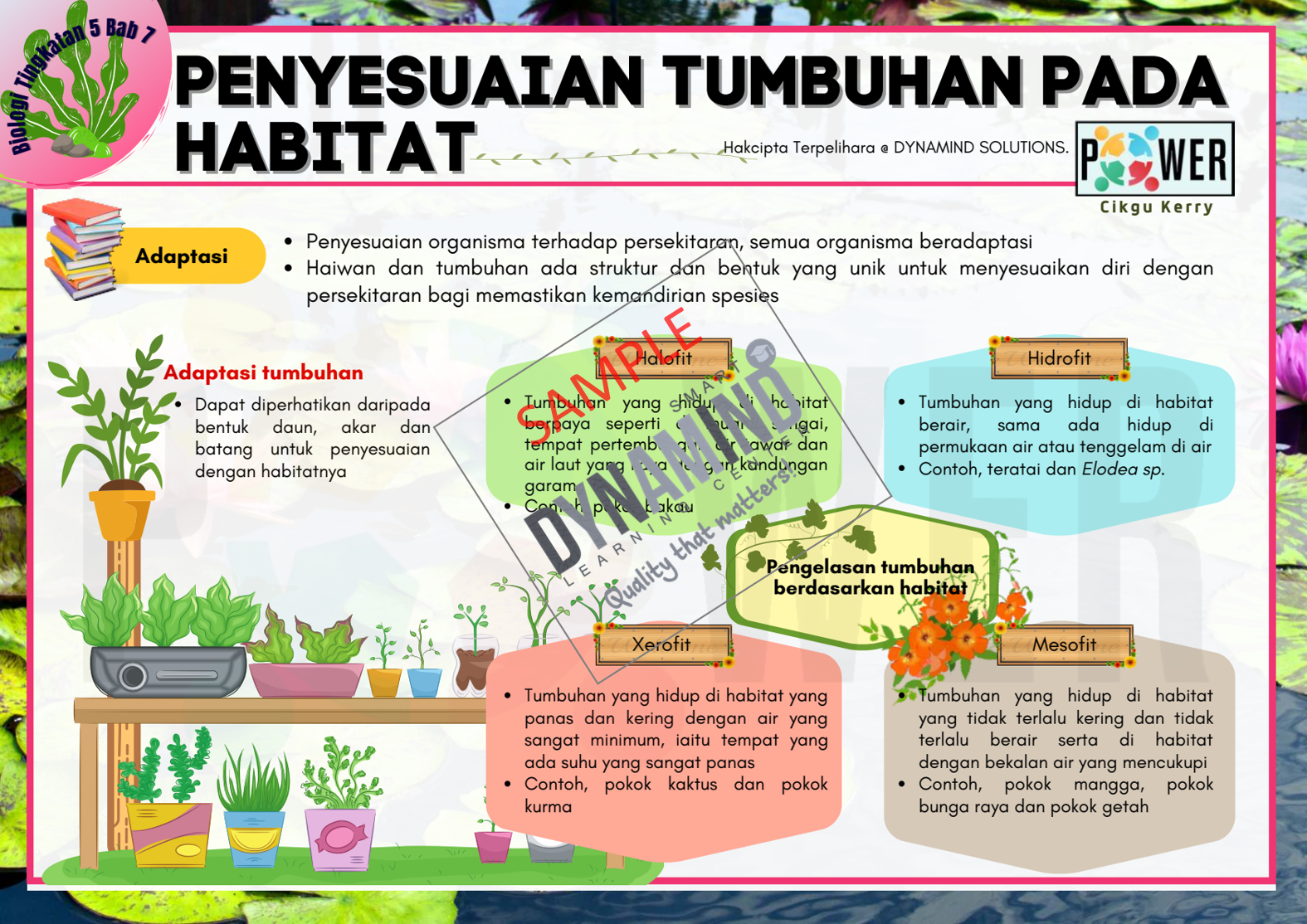 Sampel 8 Penyesuaian Tumbuhan Pada Habitat Enota Biology Tingkatan 5